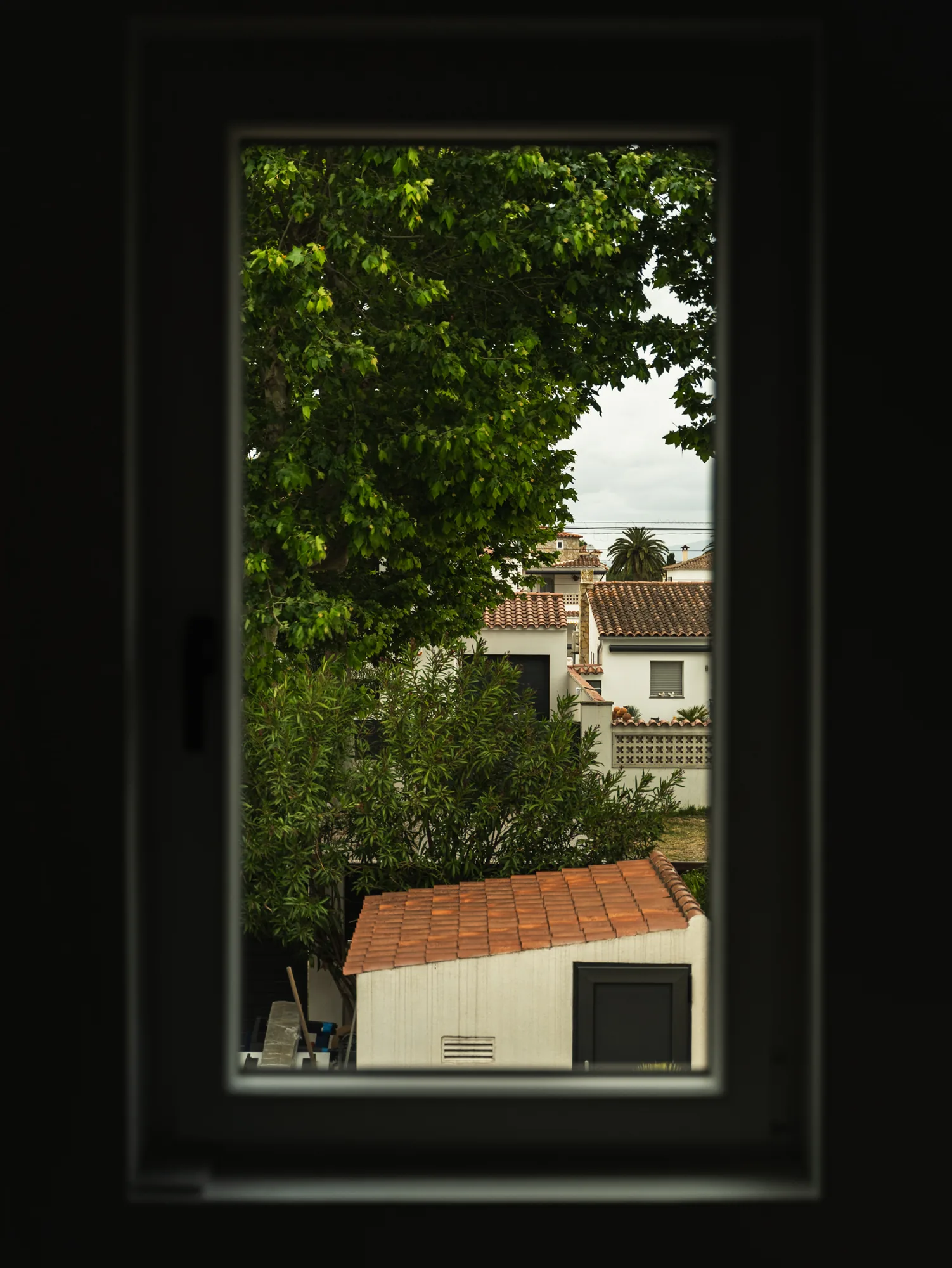 Vue depuis une fenêtre de la villa sur la végétation environnante