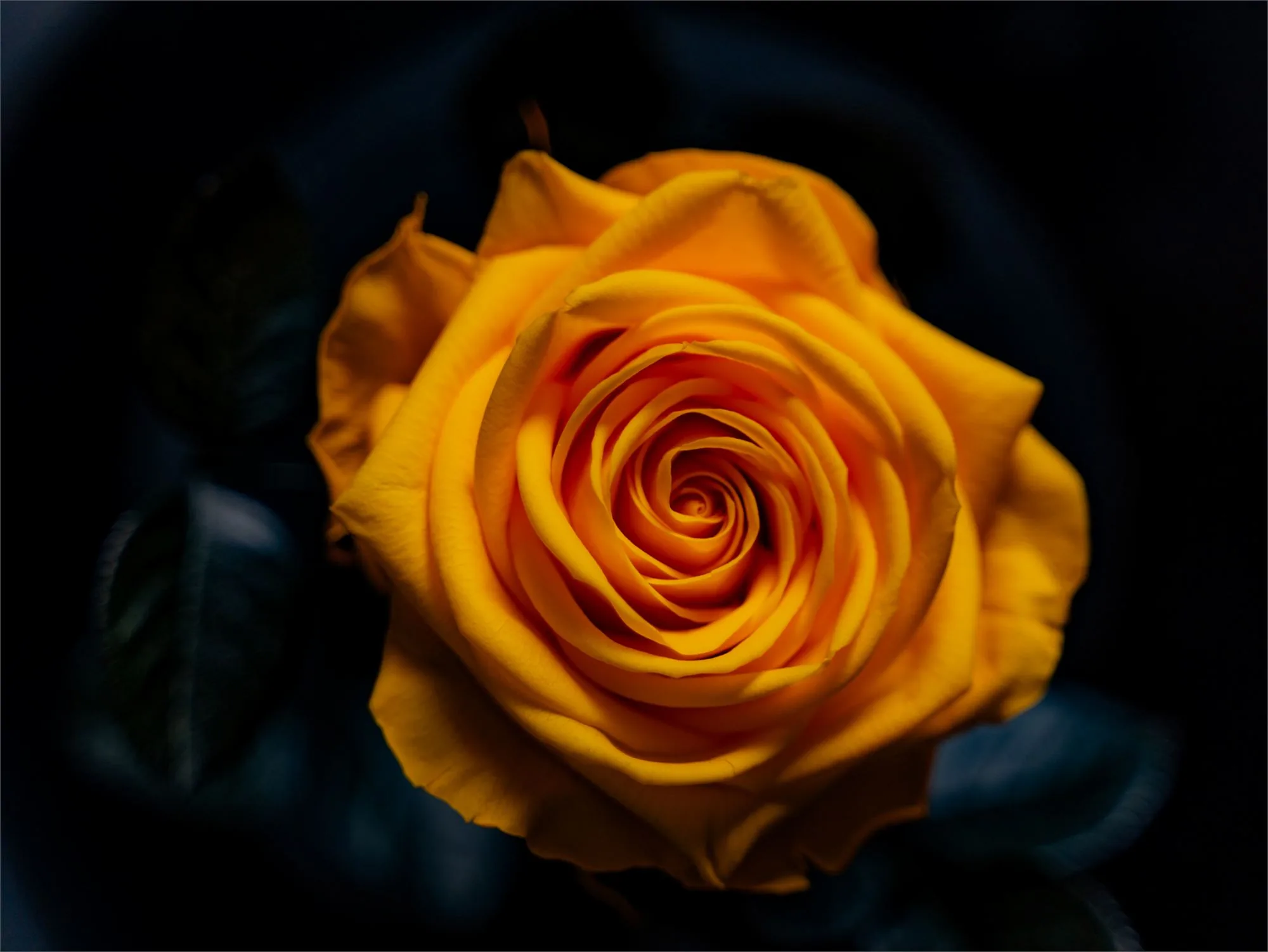 Photographie produit Sao Rosas